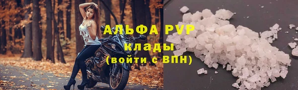mdpv Новодвинск