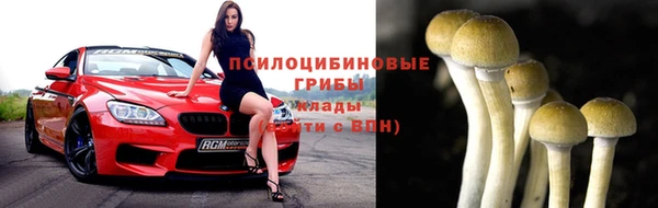 mdpv Новодвинск