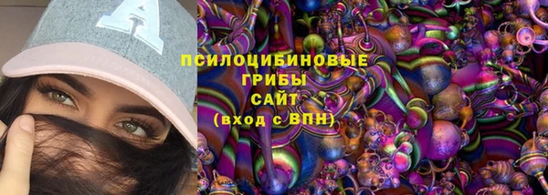 гашик Новокубанск