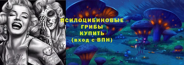 мяу мяу мука Новозыбков