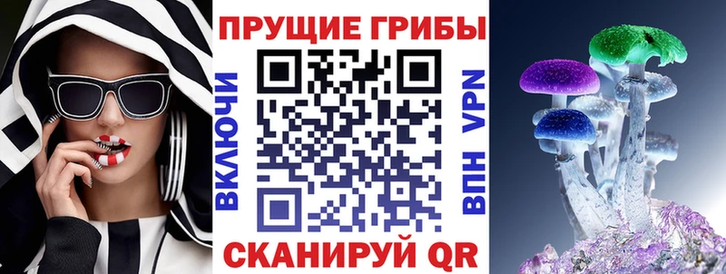 Псилоцибиновые грибы прущие грибы где продают наркотики Туран
