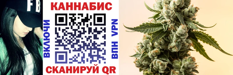 Бошки Шишки семена  Туран 